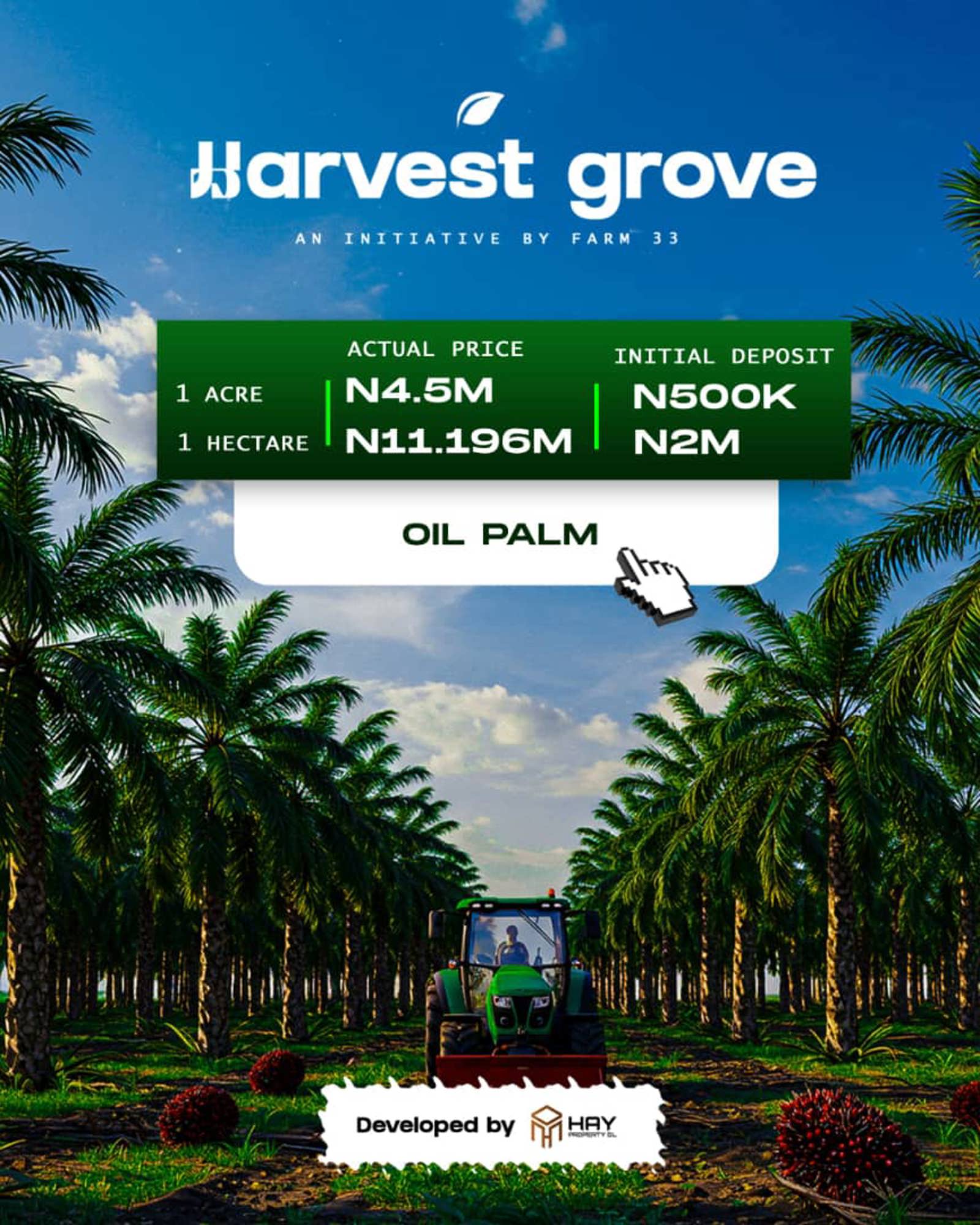 THE HARVEST GROOVE
