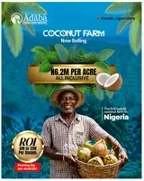 ADABA COCONUT FARM AND RESORT. OWODE OGUN STATE - photo 3