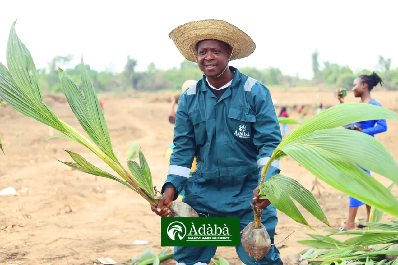 ADABA COCONUT FARM AND RESORT. OWODE OGUN STATE