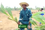 ADABA COCONUT FARM AND RESORT. OWODE OGUN STATE