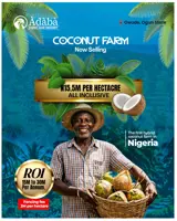ADABA COCONUT FARM AND RESORT. OWODE OGUN STATE - photo 2