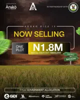 AROKO RICE FARM - photo 4