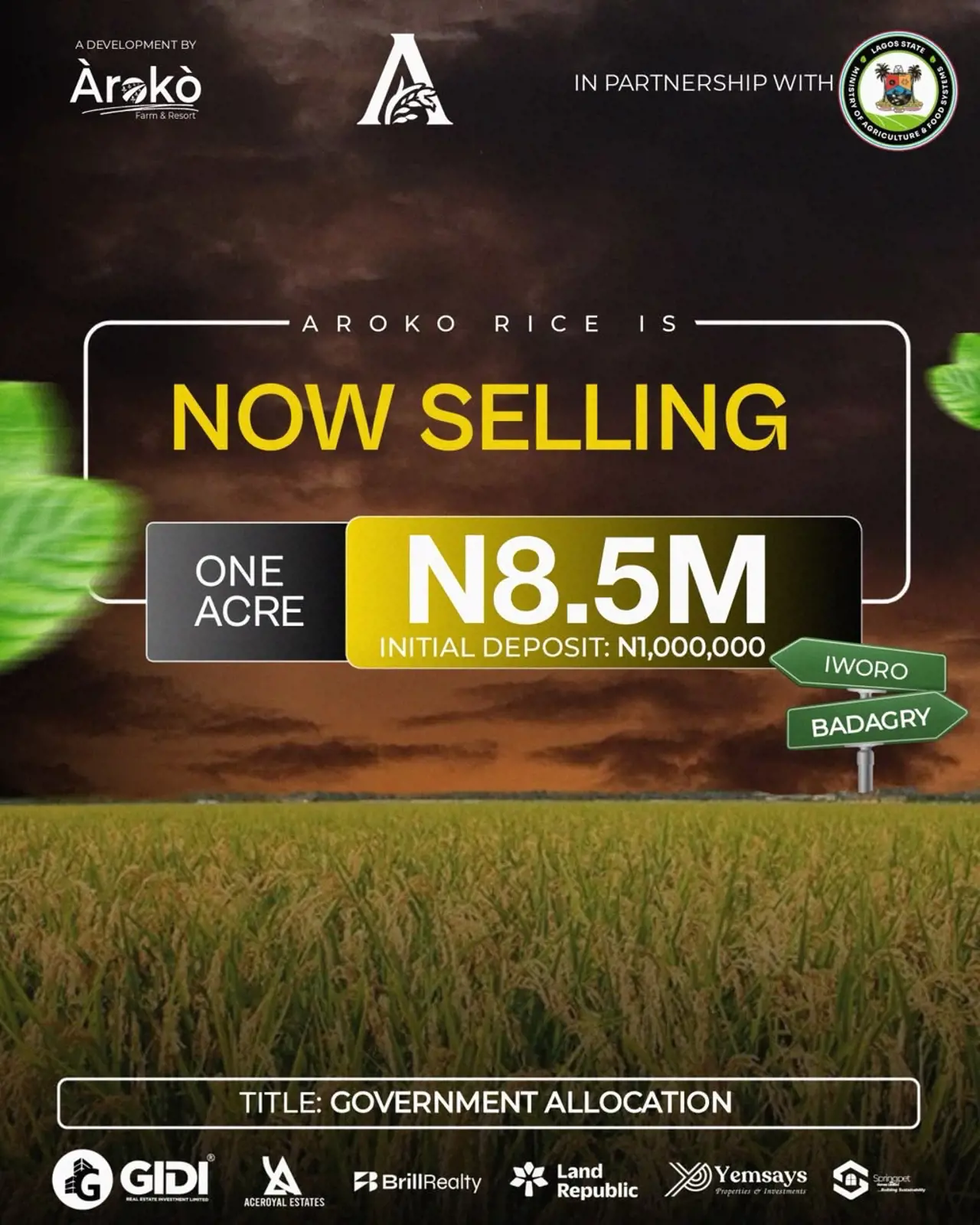 AROKO RICE FARM