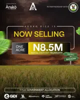 AROKO RICE FARM