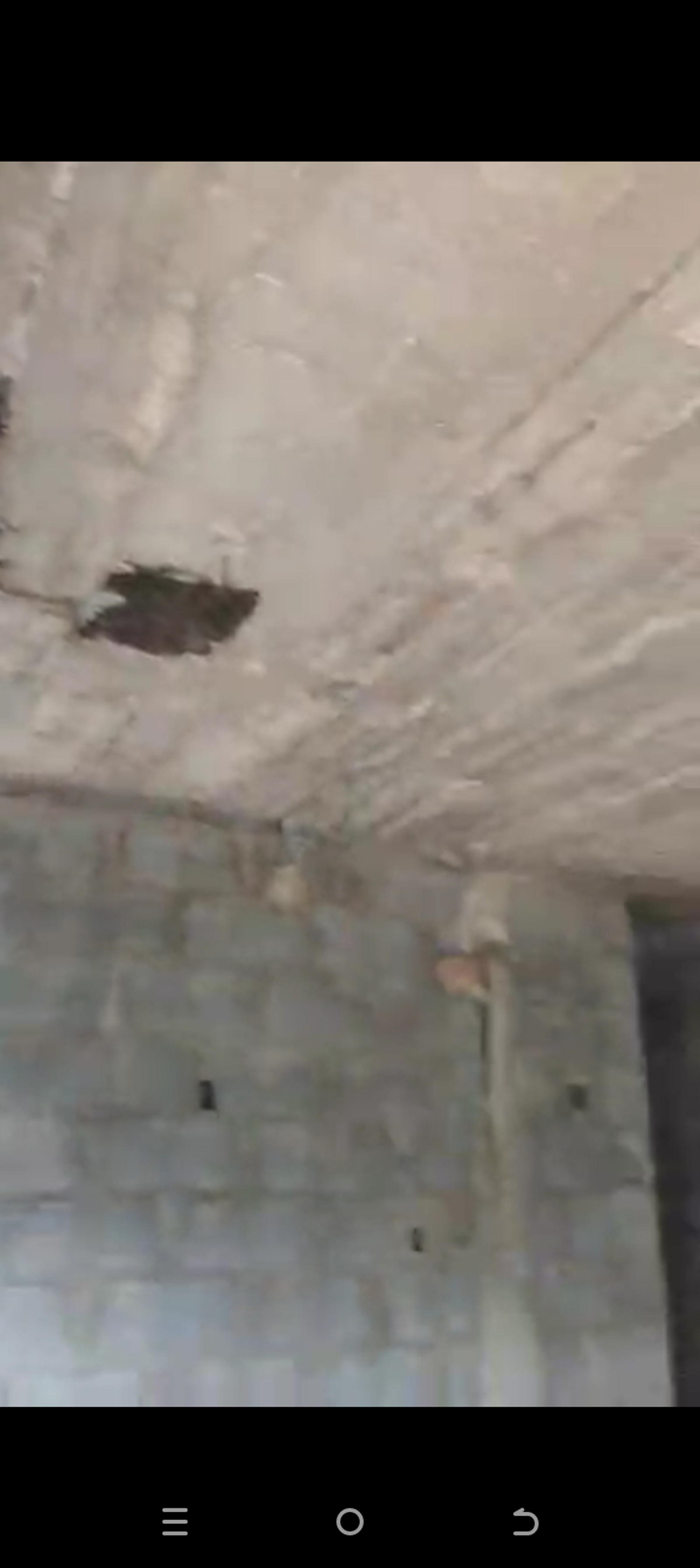 8 Units of uncomplicated apartment located in Arepo