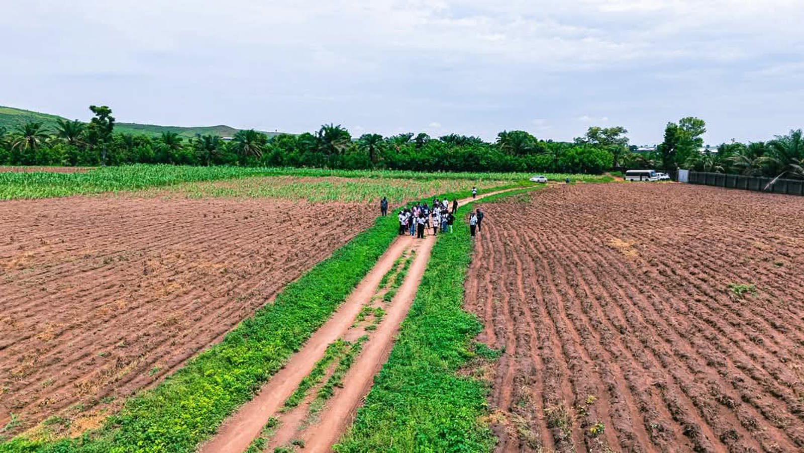 Own a Farmland in Abuja | Iron Roots Farms | Farmland for sale