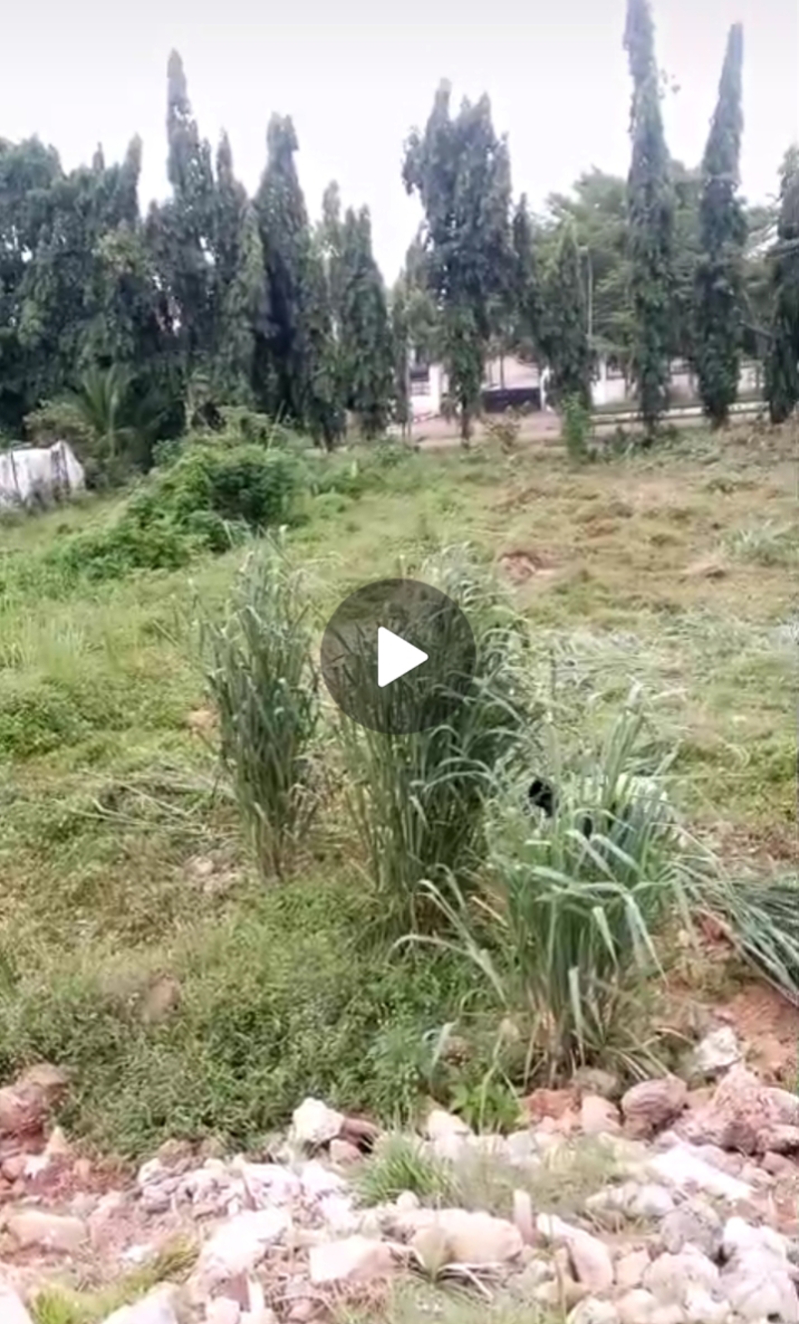 EMPTY LAND